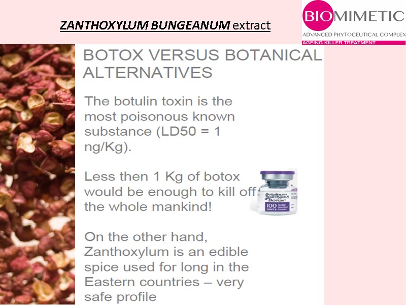 ZANTHOXYLUM BUNGEANUM extract